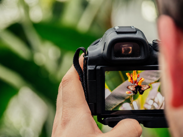Expositie fotografiewedstrijd IVN Haaksbergen