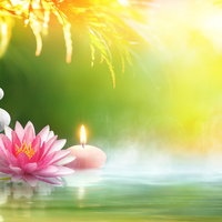 Uit je hoofd, in je lijf: Ontdek wat meditatie voor jou kan doen.