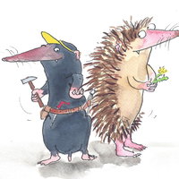 Egel en Mol: het grote memoryspel