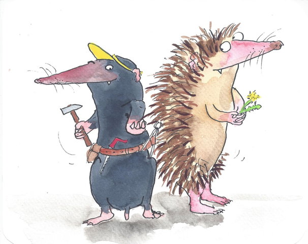 Egel en Mol: het grote memoryspel