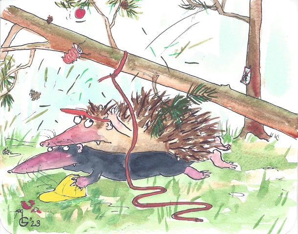 Egel en Mol: de letterspeurtocht