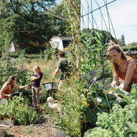 Dakenfestival 2026 - Klassiek op het dak 29-08-2026 13:00