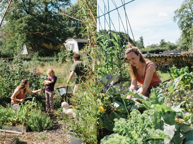 Lezing en workshop (Moes)tuinieren en natuurbeleving met kinderen