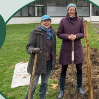 Vragenuurtje Klimaatburgemeester: bomen en planten