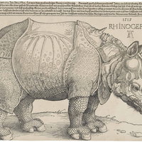 Senioren Colleges: Dierensymboliek in de kunst 13-11-2026 10:00