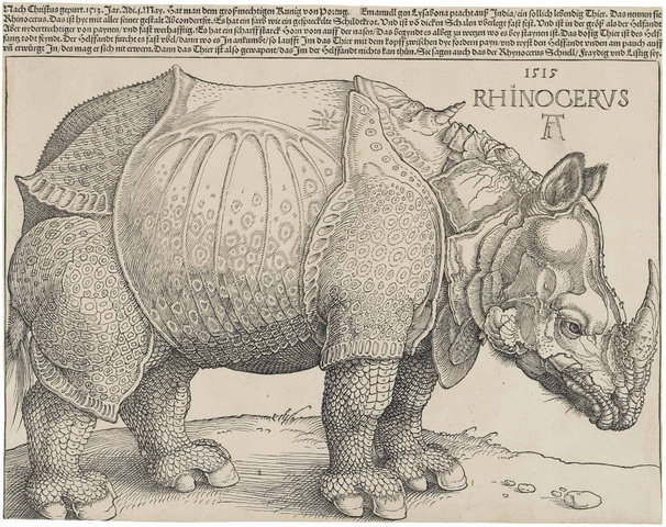 Senioren Colleges: Dierensymboliek in de kunst 13-11-2026 10:00