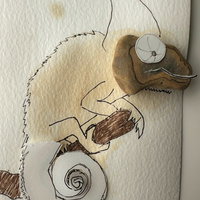 Workshop 'Overal iets te zien' (5 - 8 jaar)