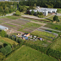 Groen doen: Plant een voedselbos