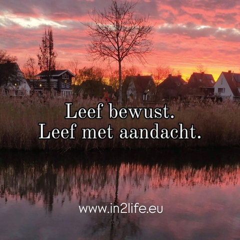 Workshop mindfulness