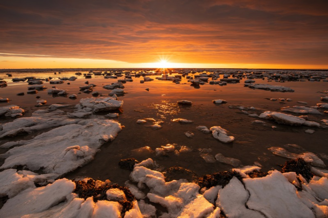 Expositie De Wadden