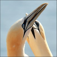 Foto-expositie | Fotogroep Kiekdoes Maastricht