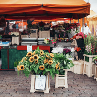 De bieb op de markt!