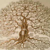 Genealogie Elim: Weet jij waar je familie vandaan komt?