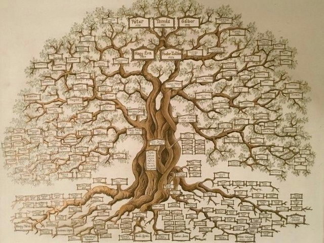 Genealogie Elim: Weet jij waar je familie vandaan komt?