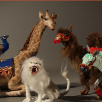 Stop-motion installatie met Marcella Lubbers