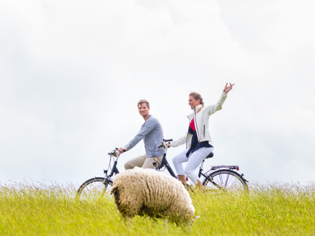 Fiets zoekt Boer