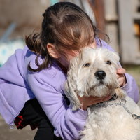 Boekjes en Babbels Valkenswaard 30-10-2026 10:15