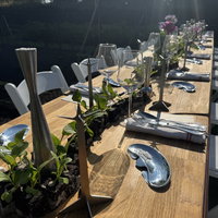 Community diner: Nature at the table 06-11-2026 19:00