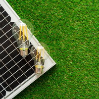 Bouw je eigen lampje op zonne-energie