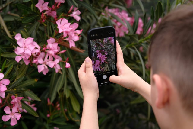 Workshop: Smartphone fotografie voor kids!