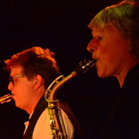 Livemuziek: Vintage Blues Collective