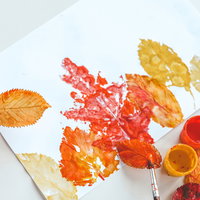 Familieworkshop: Maak je eigen herfstblad afdruk