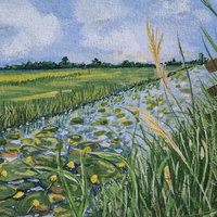 Expositie bibliotheek Bergambacht