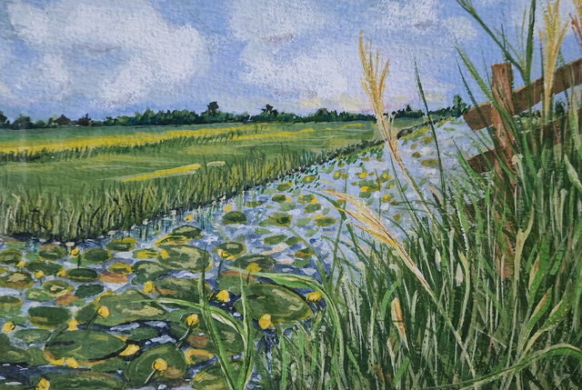 Expositie bibliotheek Bergambacht