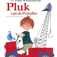 Theaterworkshop: Pluk van de Petteflet