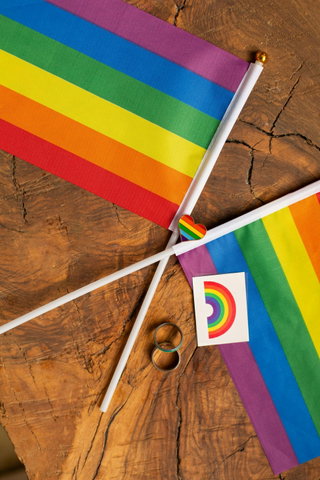 Uitreiking Silver Rainbow Award