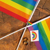 Uitreiking Silver Rainbow Award