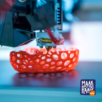 Maakplaats053: 3D-printen (6+)