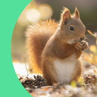 Informatiesessie biodiversiteit Hackaton voor inwoners