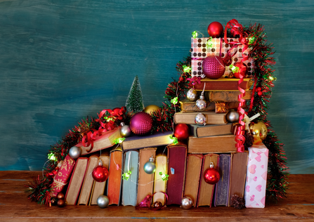 Themacollectie Kerst groep 1 t/m 4
