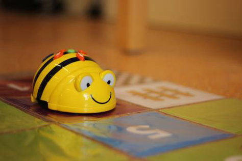 Project Botje Bij