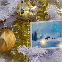 Duurzame kerstgroeten