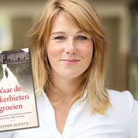 Lezing: Waar de suikerbieten groeien