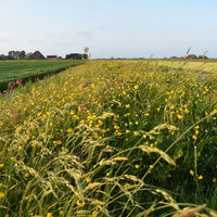 Op pad over het Tillefonnepad