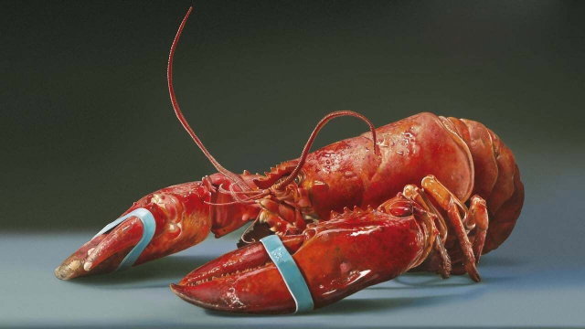 Filmavond: Het Diner, met nagesprek
