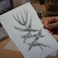 Workshop Botanisch Tekenen