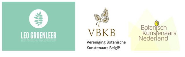 logo.jpg