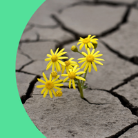 Lezing: Steeds extremer weer; (hoe) kunnen wij en de natuur zich aanpassen?