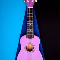 Workshop Ukelele