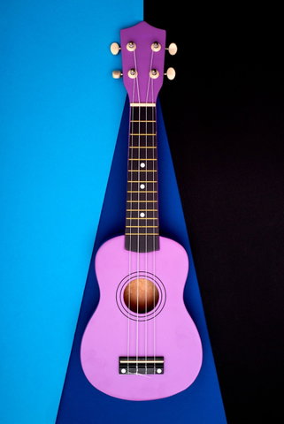 Workshop Ukelele