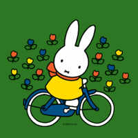 Prentenboekjesfestival | Nijntje op de fiets (2+)