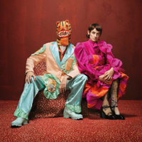 Theater Sonnevanck & DIEHELEDING | Prins Panter (8+)