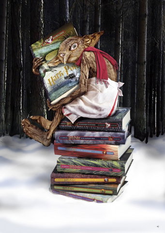 Kinderboekenbal: In de spotlight Harry Potter/Ien van Laanen