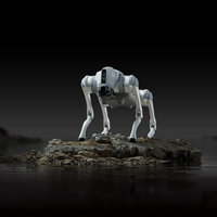 Weekend van de Wetenschap: Chip de robothond