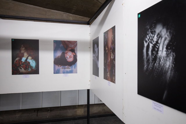 Expositie 'Order in the chaos'