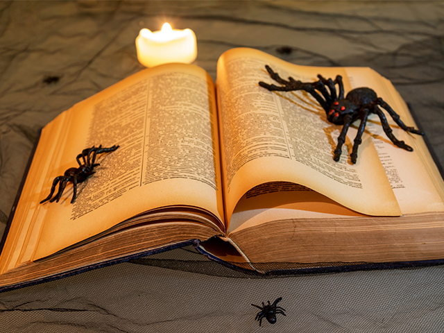 Halloween Side Quest